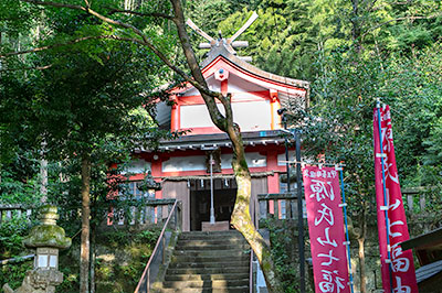 周辺観光 交通アクセス 伊豆長岡公園 伊豆長岡温泉 頼朝の湯 本陣 公式ホームページ