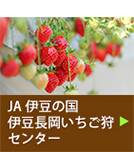 JA伊豆の国 伊豆長岡いちご狩 センター