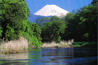 柿田川湧水群